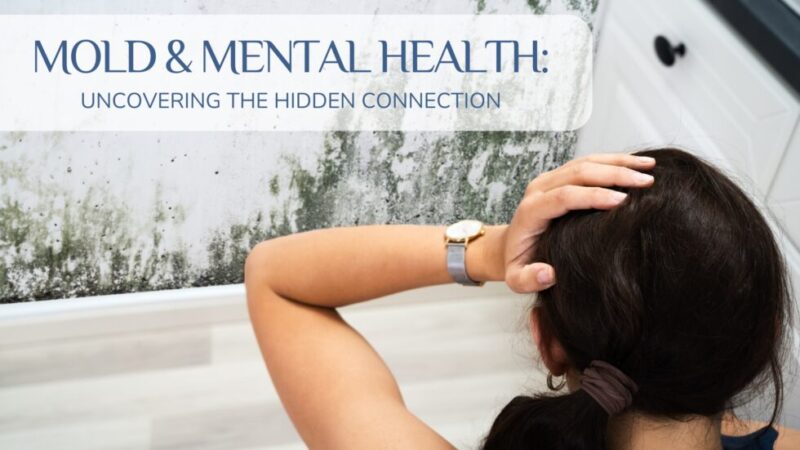 Mold Remediation and Mental Wellness: An Overlooked Connection